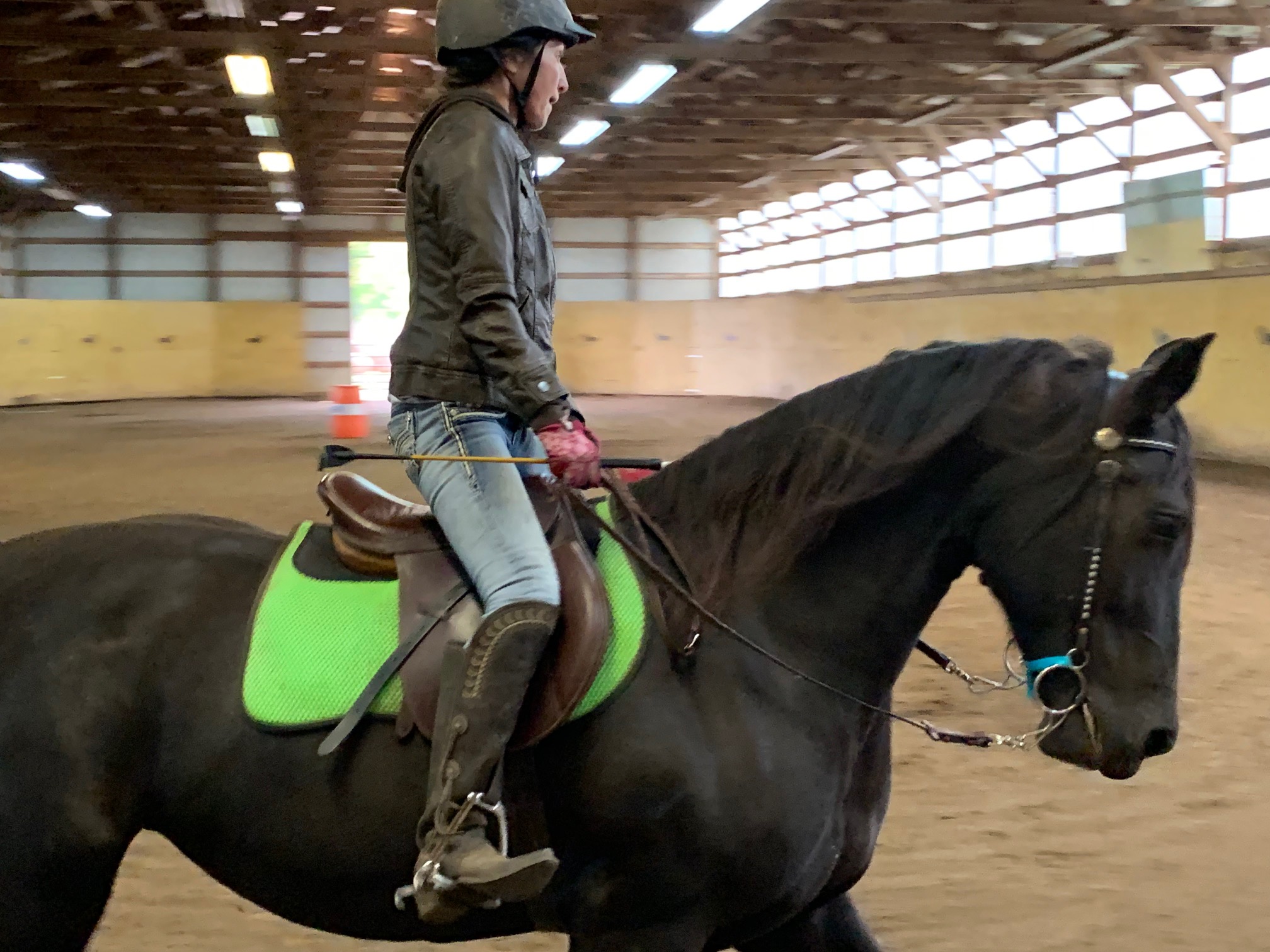 Friesian horse rides and petting farm, Valiant